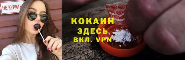 шишки Балахна