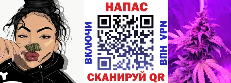 Марихуана сатива Чернушка